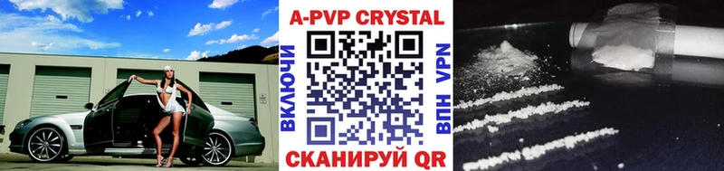 A PVP СК Биробиджан