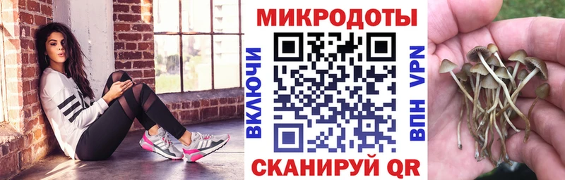 Псилоцибиновые грибы Cubensis  Биробиджан 
